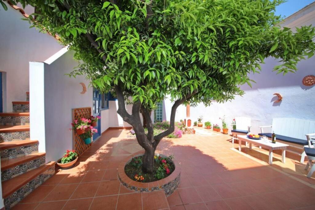 Philoxenia Guest House Skopelos Extérieur photo