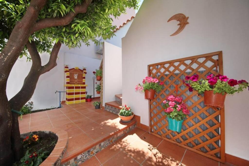 Philoxenia Guest House Skopelos Extérieur photo